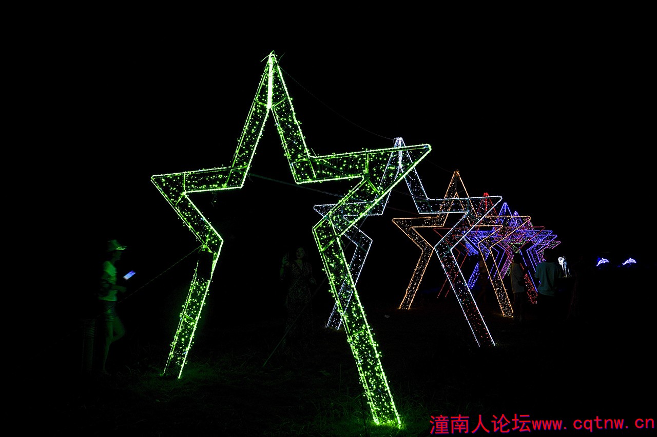 DSC01873.jpg