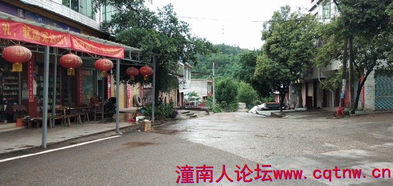 06.jpg