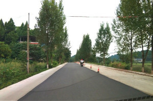 b5.jpg