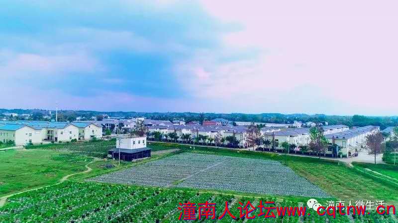 微信图片_20201102215354.jpg