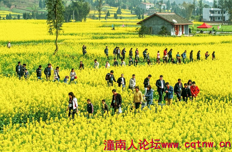 微信图片_20201111085801.jpg