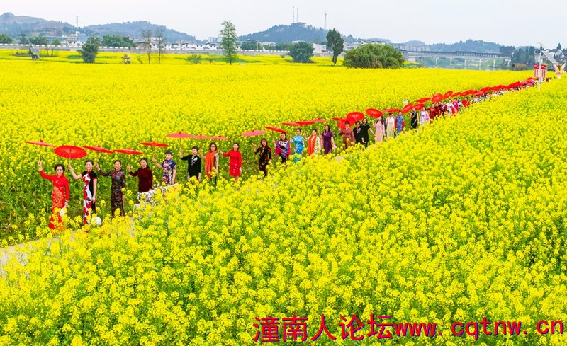 微信图片_20201111085811.jpg