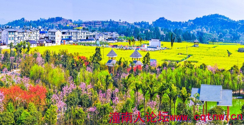 微信图片_20201111085844.jpg