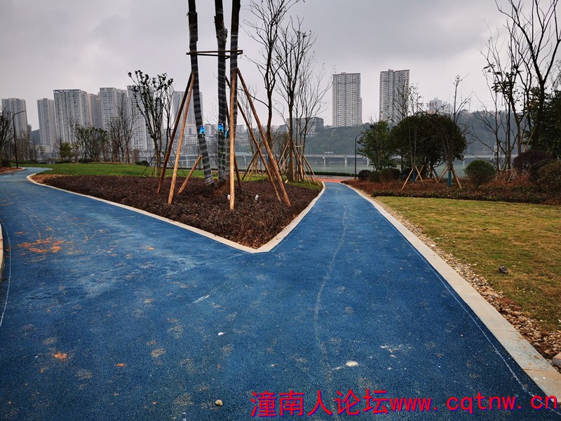步道6.jpg