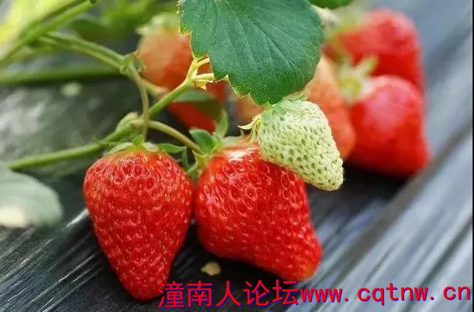 微信图片_20210323164118.jpg
