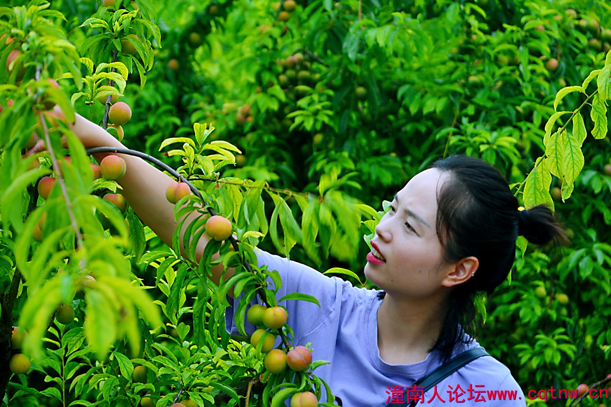 李子8.jpg