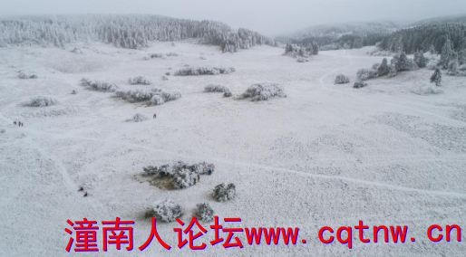 图片1.._副本.png